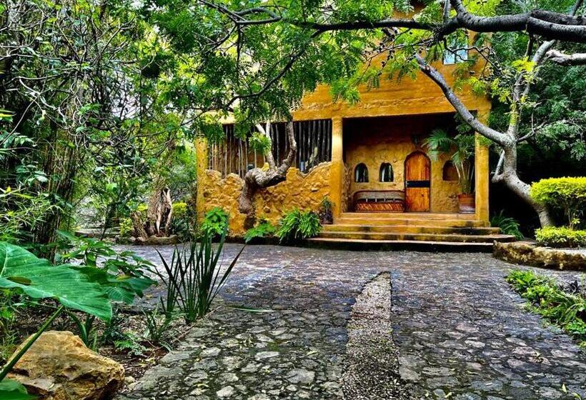 منزل غرفة نوم واحدة, Valle Místico