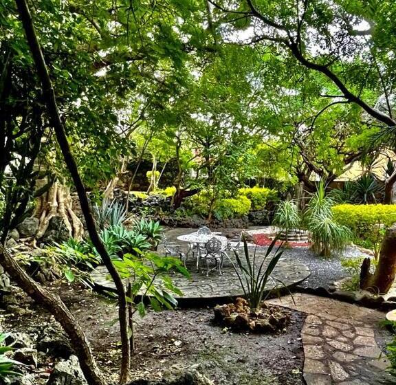 منزل غرفة نوم واحدة, Valle Místico