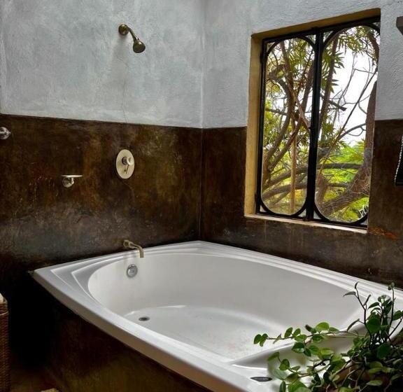 منزل غرفة نوم واحدة, Valle Místico