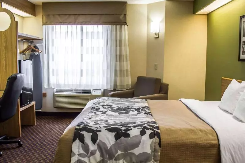 اتاق استاندارد, Dreams Dominicus La Romana Resort & Spa