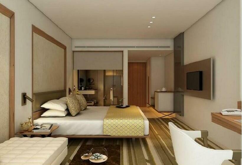 غرفة قياسية, Sayaji Vadodara