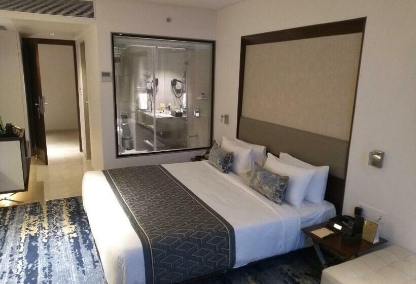 غرفة بريميوم, Sayaji Vadodara