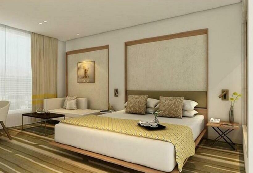 غرفة قياسية, Sayaji Vadodara