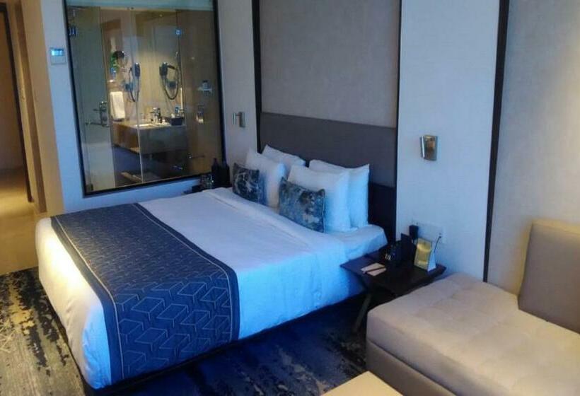 غرفة بريميوم, Sayaji Vadodara