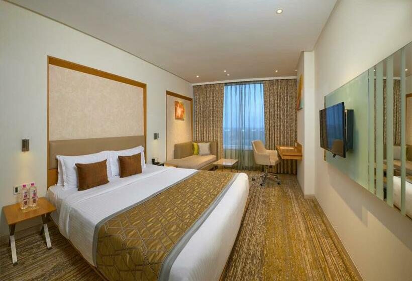 غرفة قياسية, Sayaji Vadodara