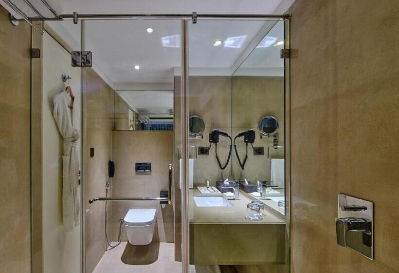 جناح, Sayaji Vadodara