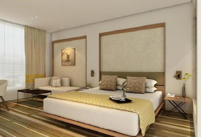 غرفة سوبيريور, Sayaji Vadodara