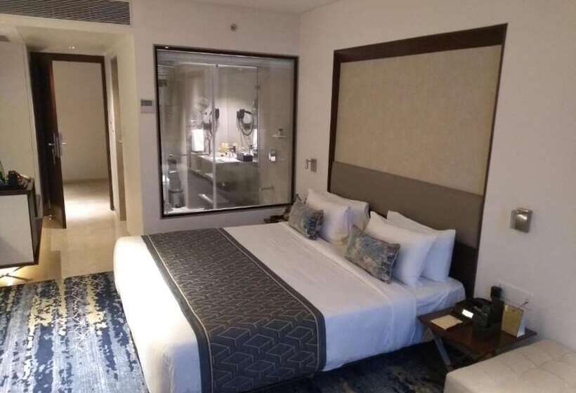 غرفة بريميوم, Sayaji Vadodara