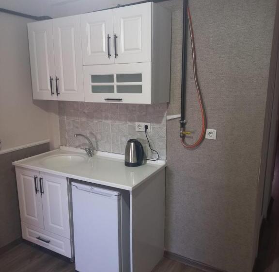 آپارتمان 1 خوابه با تراس, Taksim 52 Suite