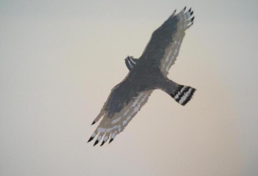 اتاق خانوادگی با چشم‌انداز کوه, Butterfly B&b