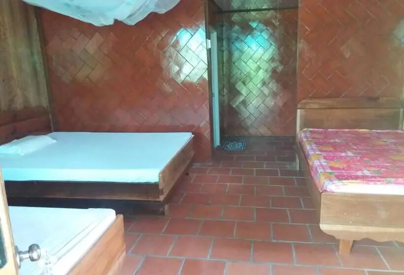 اتاق استاندارد سه تخته با چشم‌انداز باغ, Ba Linh Homestay