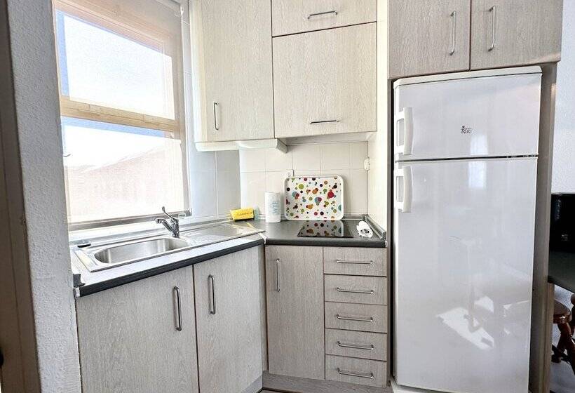 1ベッドルームアパートメント, Albir Hills Apartments