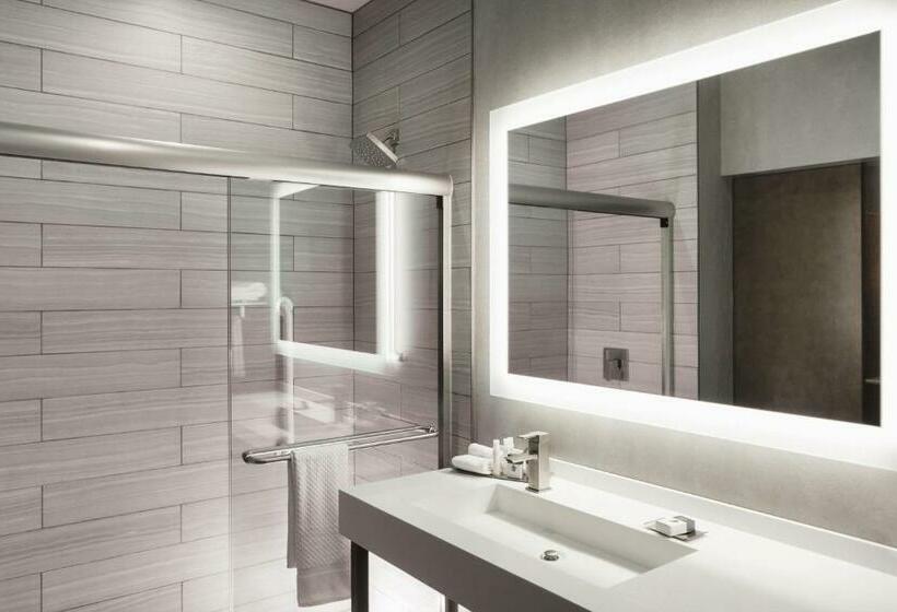 חדר סטנדרט עם מיטת קינג, Hilton Garden Inn Minneapolis University Area