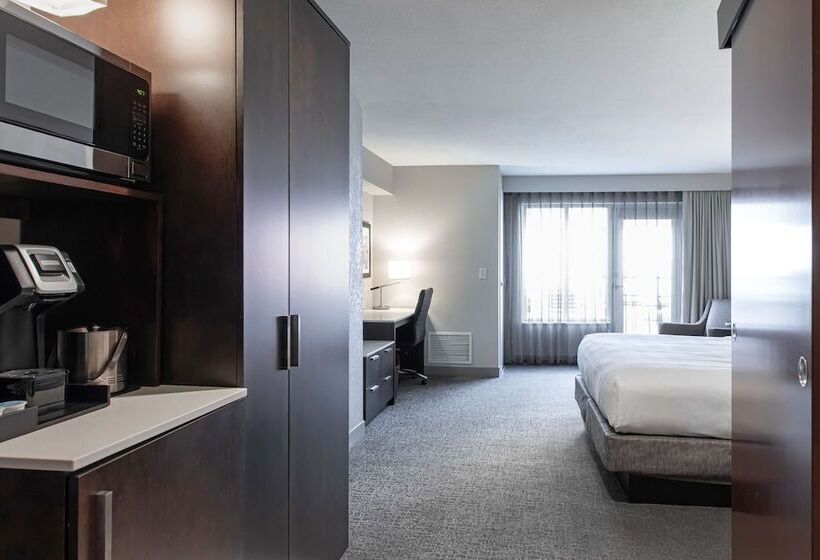 디럭스 스튜디오, Hilton Garden Inn Minneapolis University Area