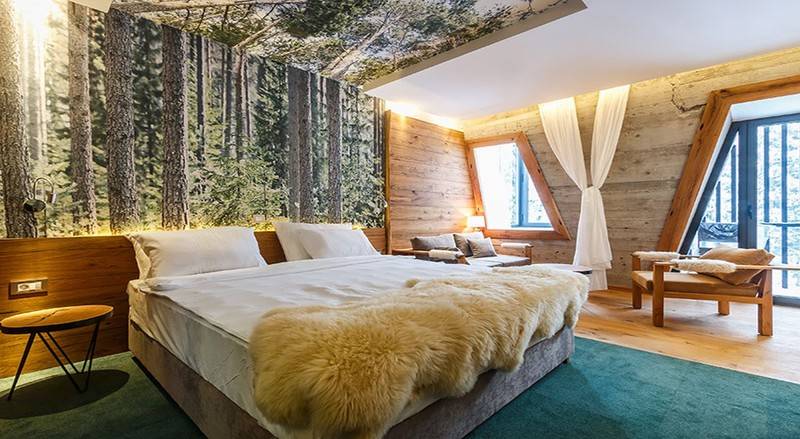 اتاق استاندارد, Pino Nature Hotel, Bw Premier Collection