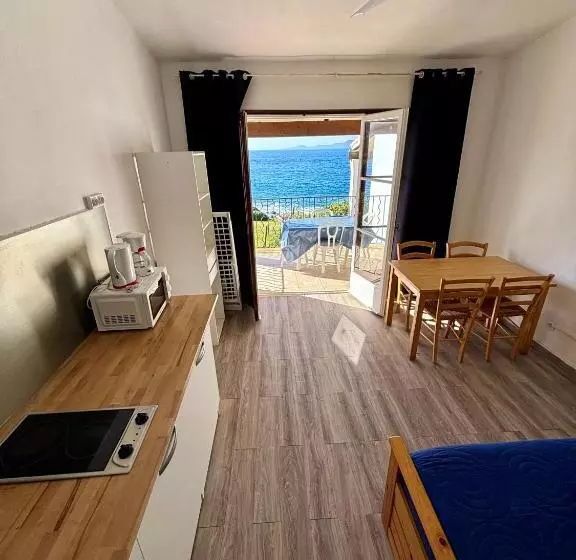 آپارتمان 1 خوابه با چشمانداز دریا, Résidence Punta Paliagi