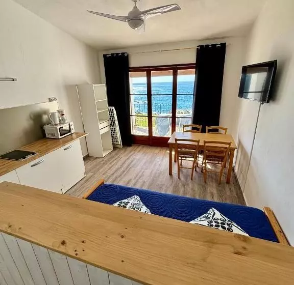 آپارتمان 1 خوابه با چشمانداز دریا, Résidence Punta Paliagi
