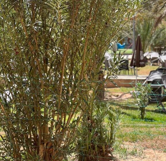 اتاق استاندارد, La Lune Du Desert