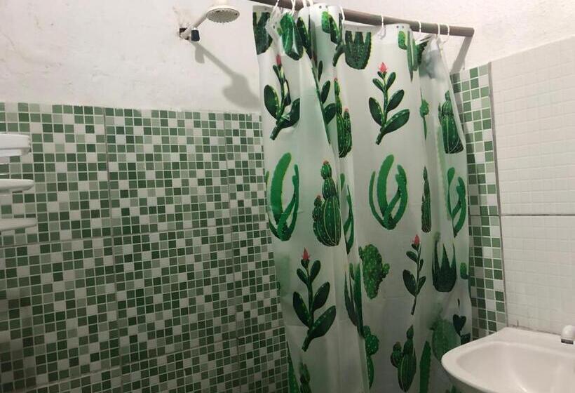 Президентский Люкс, Lê Frevo Pernambucano Hostel