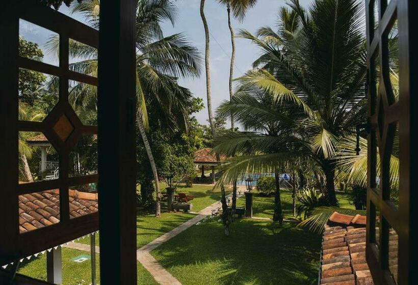 חדר סופריור, Amal Villa