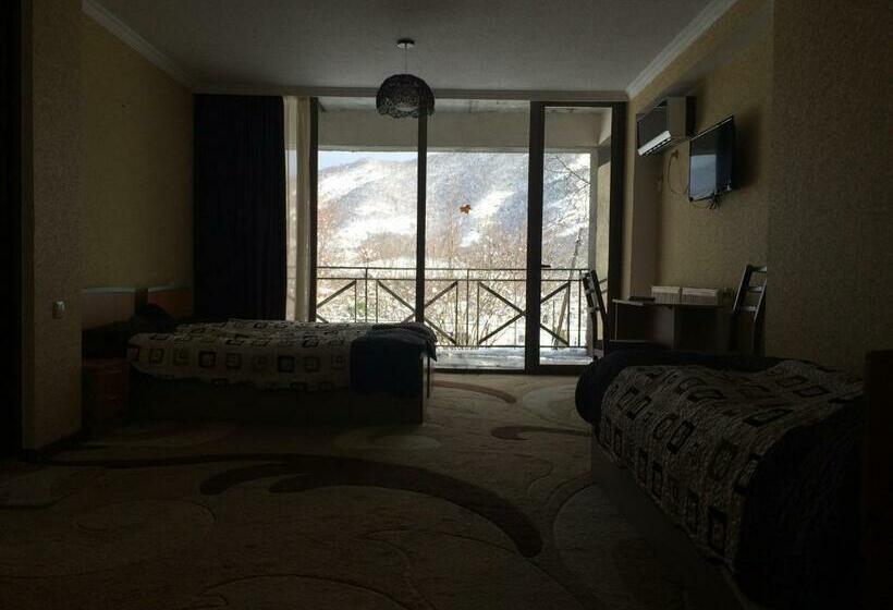 اتاق لوکس خانوادگی, Kavkasioni