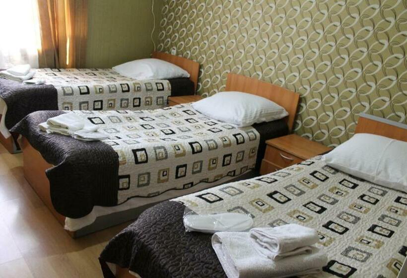 اتاق استاندارد سه نفره, Kavkasioni