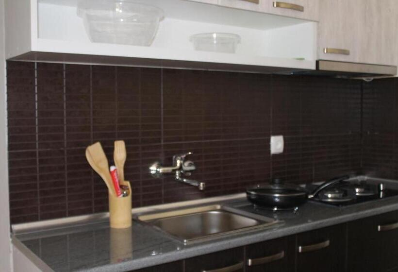 آپارتمان 1 خوابه با چشمانداز, Kavkasioni