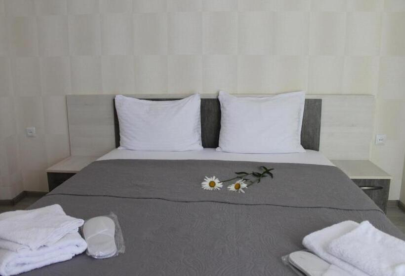 آپارتمان 1 خوابه با چشمانداز, Kavkasioni