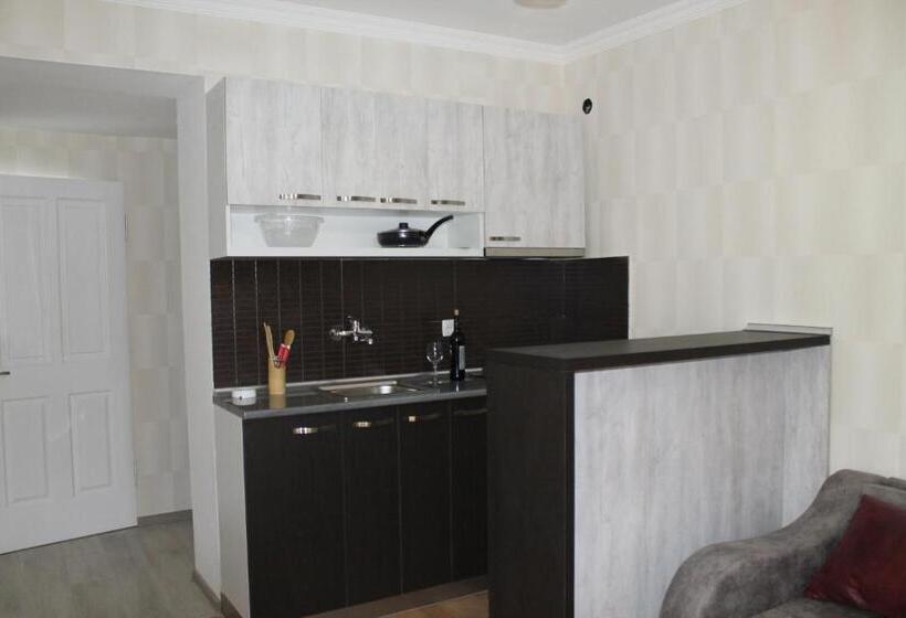 آپارتمان 1 خوابه با چشمانداز, Kavkasioni