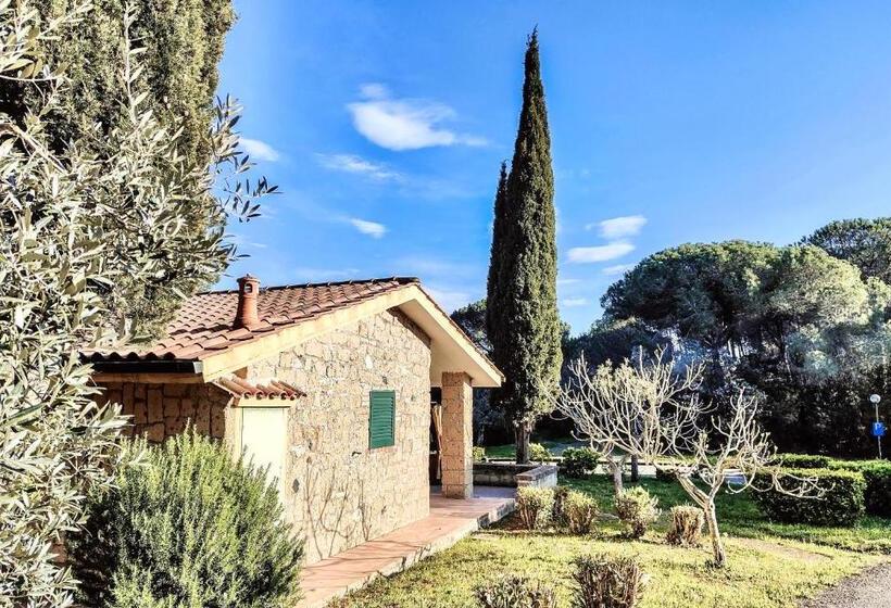 Апартаменты 1 Спальня, Isa Residence With Swimming Pool In Guardistallo Surrounded By Greenery