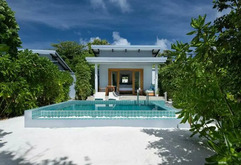 ویلای یک اتاق خوابه با استخر شنا, Ifuru Island Maldives