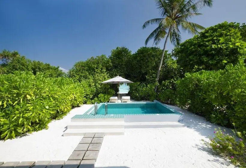 ویلای یک اتاق خوابه با استخر شنا, Ifuru Island Maldives