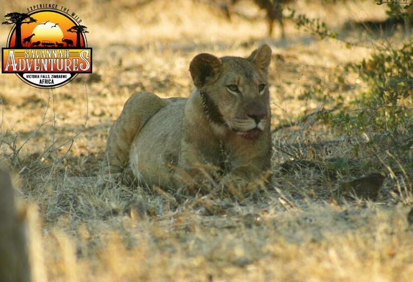 اتاق استاندارد, Room In Villa Zambezi Family Lodge Buffalo Room