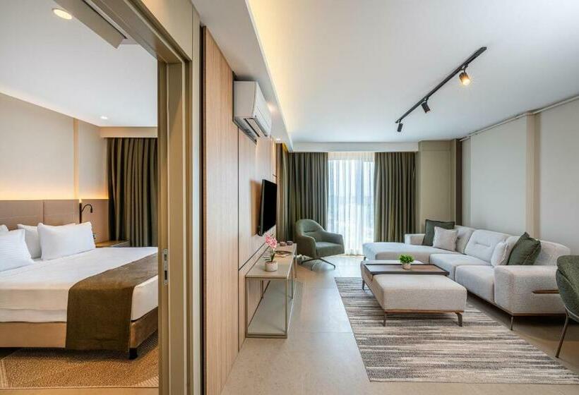 带1个卧室的高级公寓, Casamax Suites