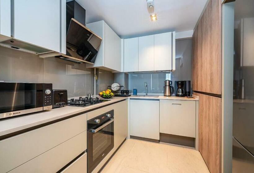 带1个卧室的高级公寓, Casamax Suites