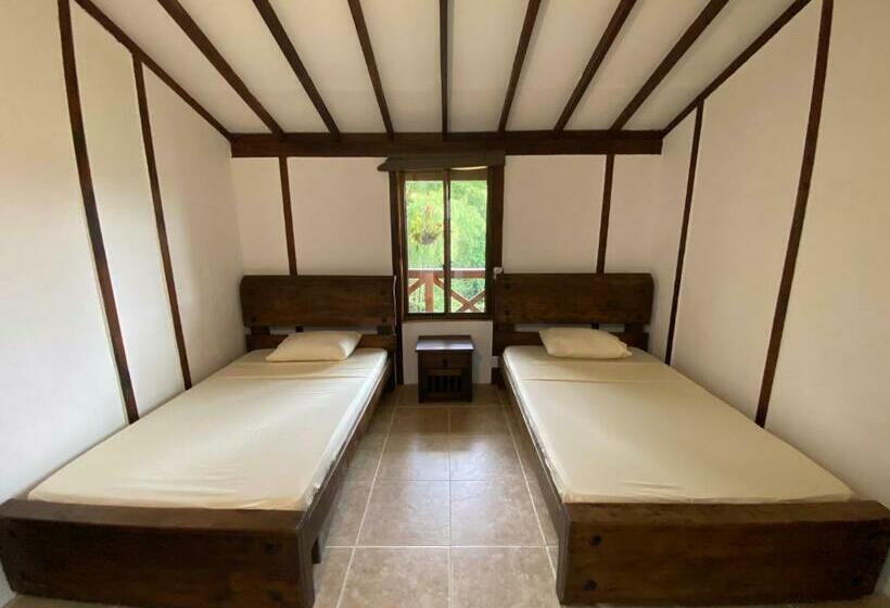 StandaardKamer, Dharma Biotherapy