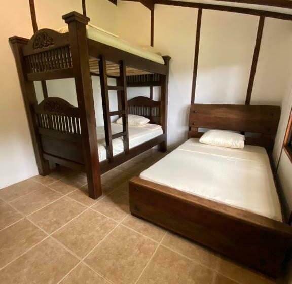 デラックスの４人部屋, Dharma Biotherapy