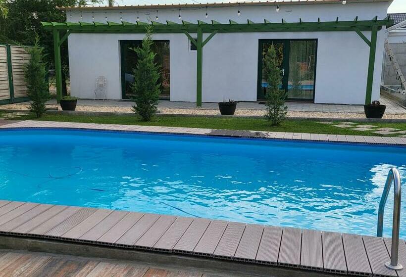 Номер Стандарт, Elis Tranzit