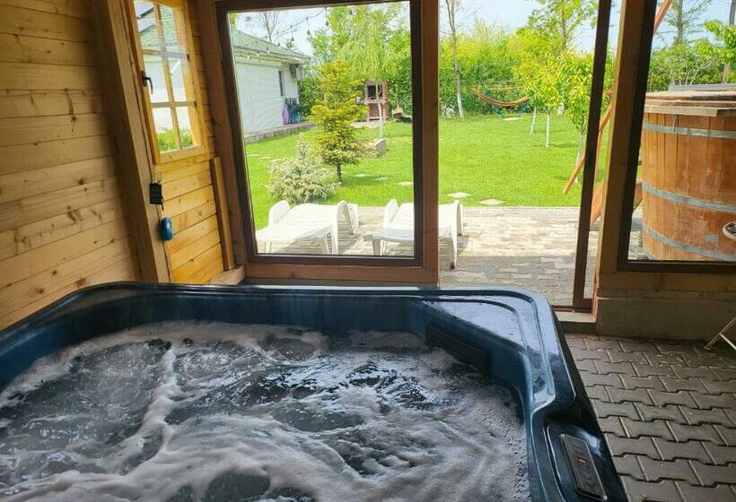 Номер Стандарт, Elis Tranzit