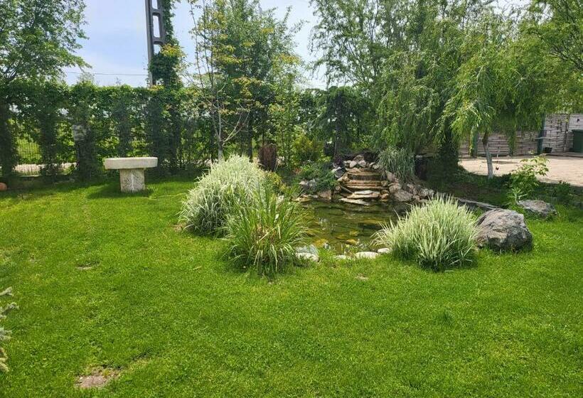 Номер Стандарт, Elis Tranzit