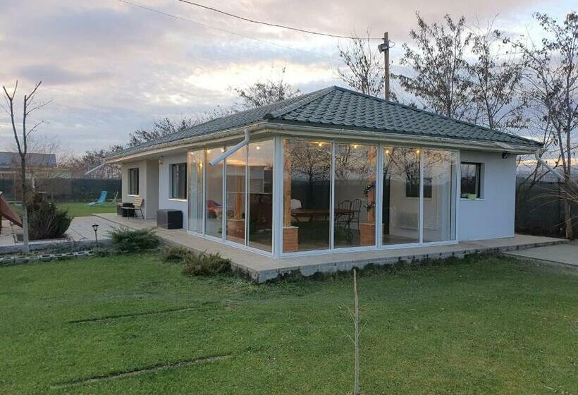 Семейное Студио, Elis Tranzit