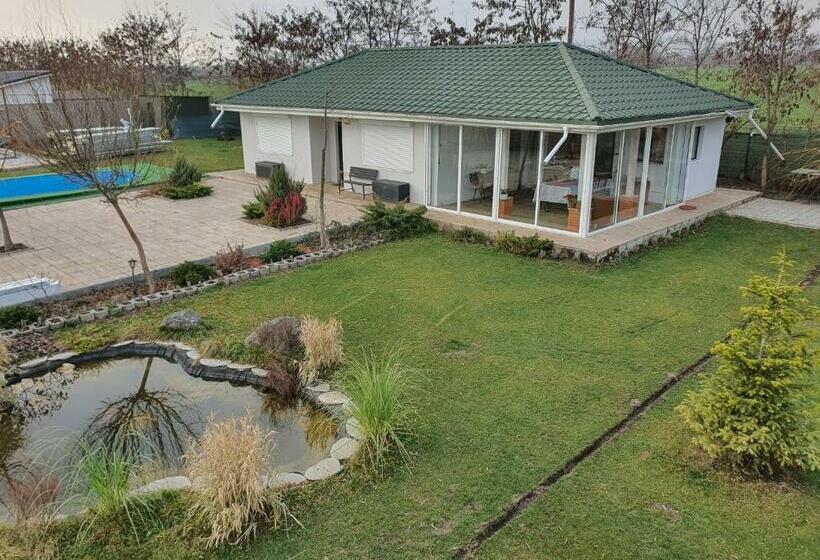 Семейное Студио, Elis Tranzit