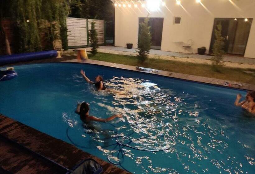 Семейное Студио, Elis Tranzit