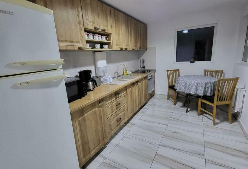 Семейное Студио, Elis Tranzit