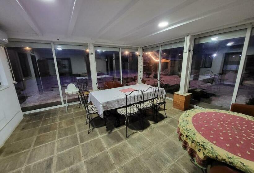 Семейное Студио, Elis Tranzit