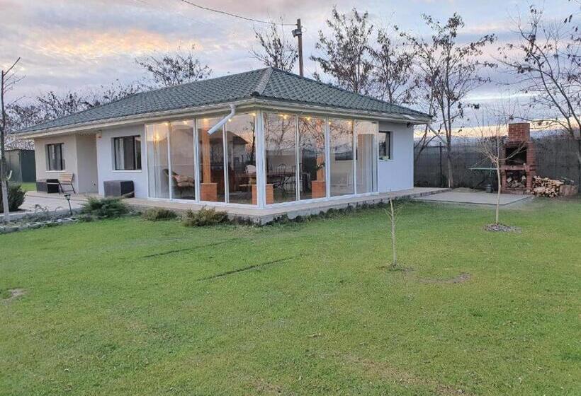 Семейное Студио, Elis Tranzit