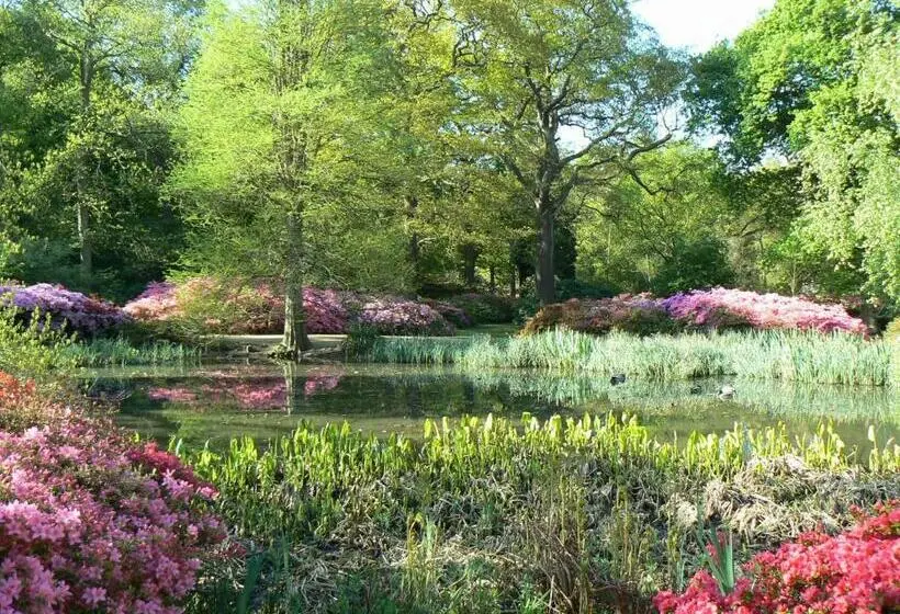 キングサイズベッドのデラックスルーム, Londonhomegardens