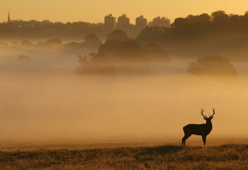 스탠다드 룸 킹사이즈 침대, Londonhomegardens