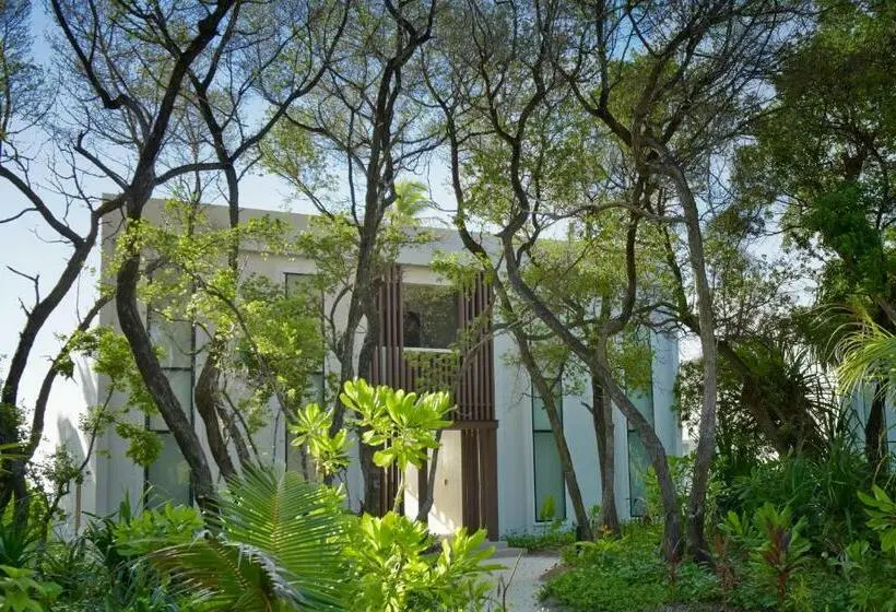استودیوی استاندارد, Kandima Maldives