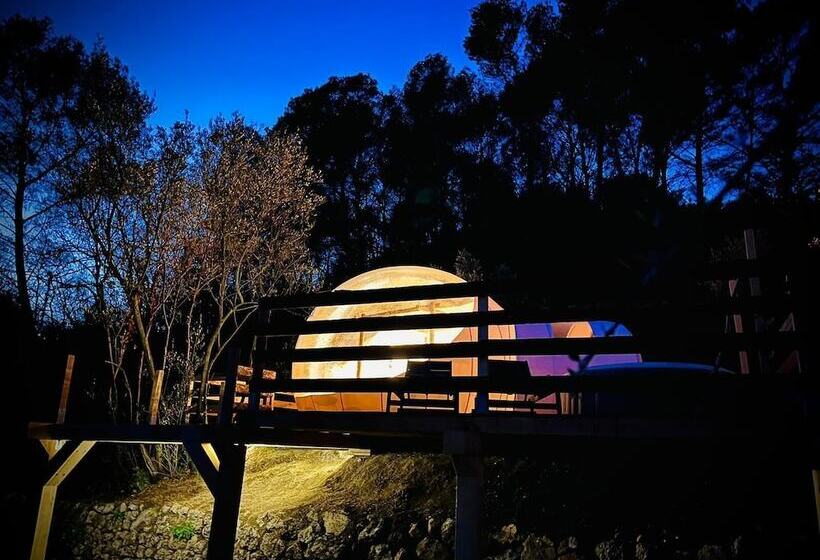 キャビン, La Villa Tosca